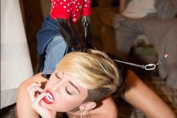 Chamou atenção mais uma vez! Sensual, Miley Cyrus posta foto com macaco nas costas