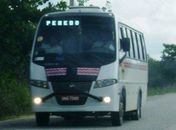 Jovens armados assaltam van de transporte complementar em Penedo