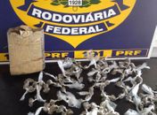 Fiscalização da PRF apreende drogas e recupera veículo roubado