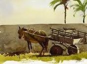 Animal leva o corpo de seu dono até sua residência