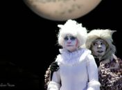 Musical "Os Gatos: uma noite felina” volta ao palco do Teatro Deodoro