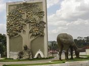 Cajueiro inicia Projeto de descoberta de novos talentos