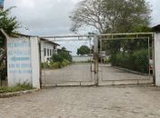  Cães infectados com calazar são ameaças nas ruas de Arapiraca 