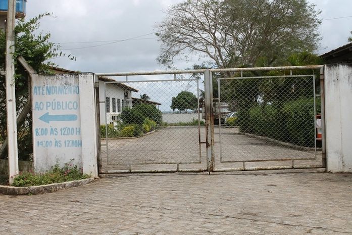 Cães infectados com calazar são ameaças nas ruas de Arapiraca