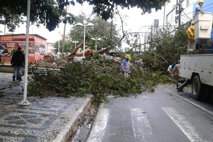 Chuvas provocam alagamentos e queda de arvores em Arapiraca