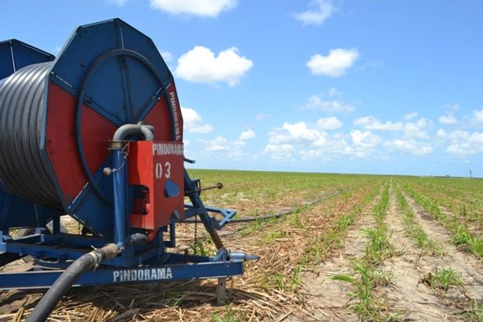 Na safra 2013/2014, irrigação promove melhorias na moagem da Pindorama