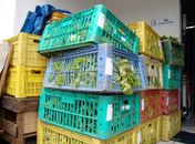  SMCCU doa alimentos apreendidos no Mercado da Produção