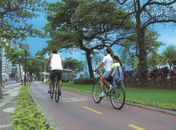 Júlio Cezar defende construção de ciclovia e reforma de Postos de Saúde em Palmeira