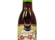 Empresa japonesa anuncia 'vinho' exclusivo para gatos