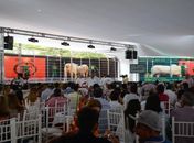 Expoagro 2013: expectativa é atrair mais de 100 mil pessoas durante o evento
