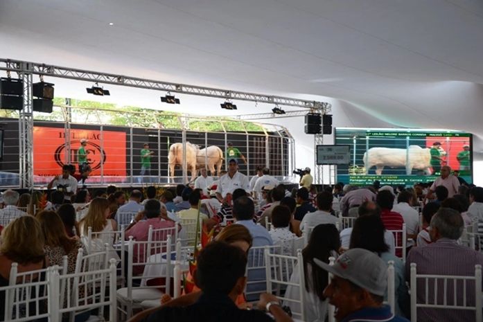Expoagro 2013: expectativa é atrair mais de 100 mil pessoas durante o evento