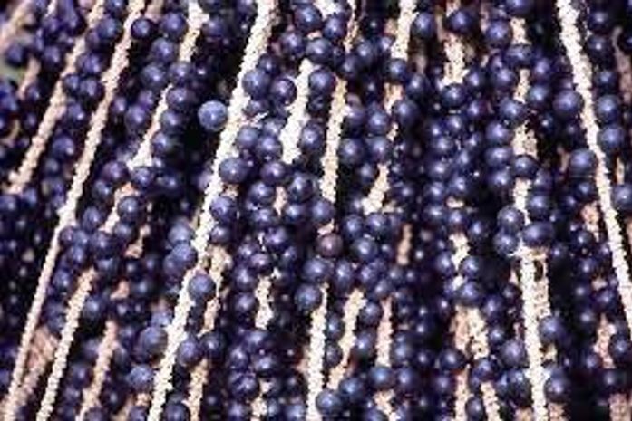 Açaí