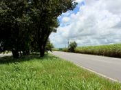 Seguro Facultativo de Viagem: um direito negado nas estradas de Alagoas