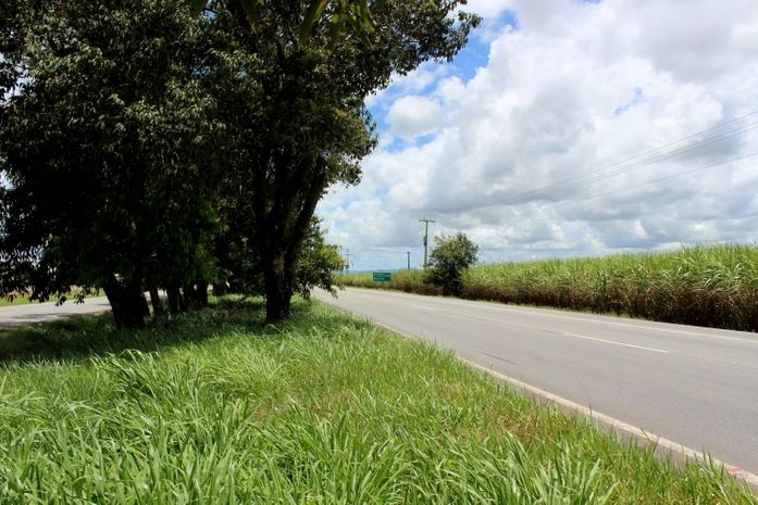 Seguro Facultativo de Viagem: um direito negado nas estradas de Alagoas