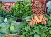 Prefeitura de Arapiraca não honra compromissos com agricultores