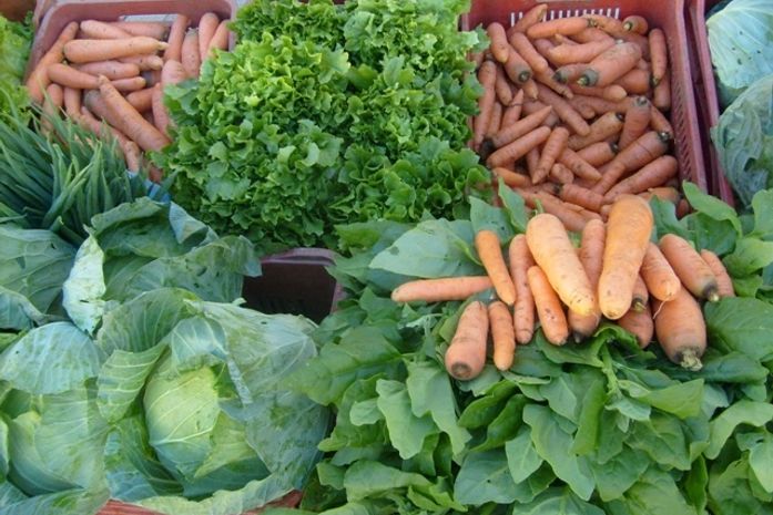 Prefeitura de Arapiraca não honra compromissos com agricultores