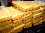 Maconha apreendida 