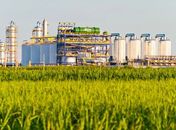 Senado aprova MP que libera R$ 380 milhões para produtores de etanol no Nordeste