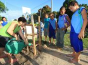 Satuba recebe mudas para arborização