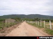 Assaltantes roubam e depois matam idoso no Sertão Alagoano