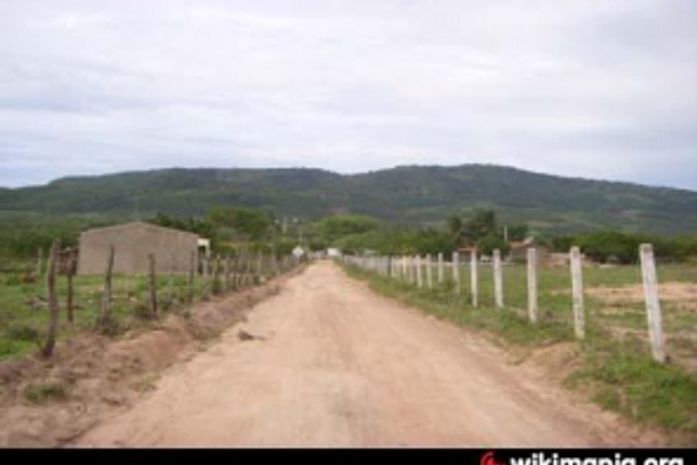 Assaltantes roubam e depois matam idoso no Sertão Alagoano