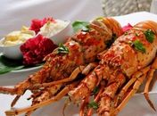 Festival da Lagosta movimenta o Litoral Norte com pratos típicos e atrações culturais