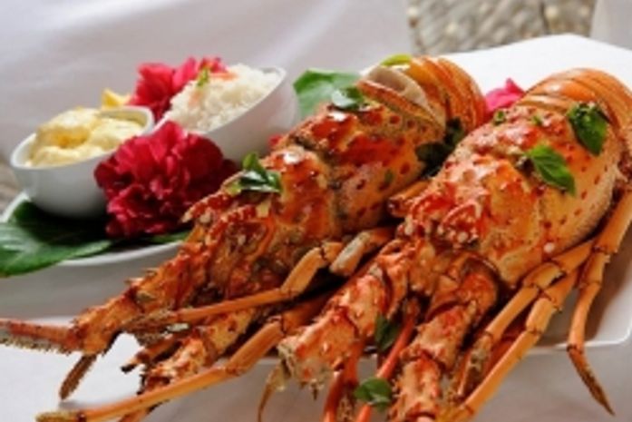 Festival da Lagosta movimenta o Litoral Norte com pratos típicos e atrações culturais