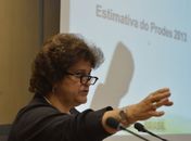 Desmatamento na Amazônia aumenta 28%