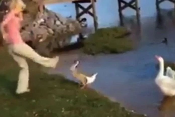 Jovem é presa após chutar ganso em parque nos EUA