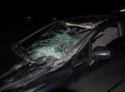 Cavalo solto em rodovia provoca acidente na Barra de São Miguel