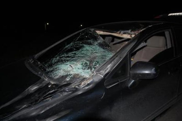 Cavalo solto em rodovia provoca acidente na Barra de São Miguel