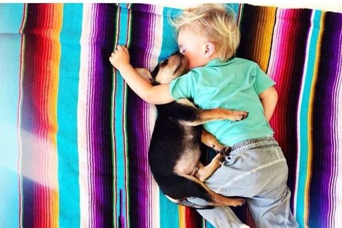 Bebê e cão inseparáveis na hora da soneca viram hit na internet