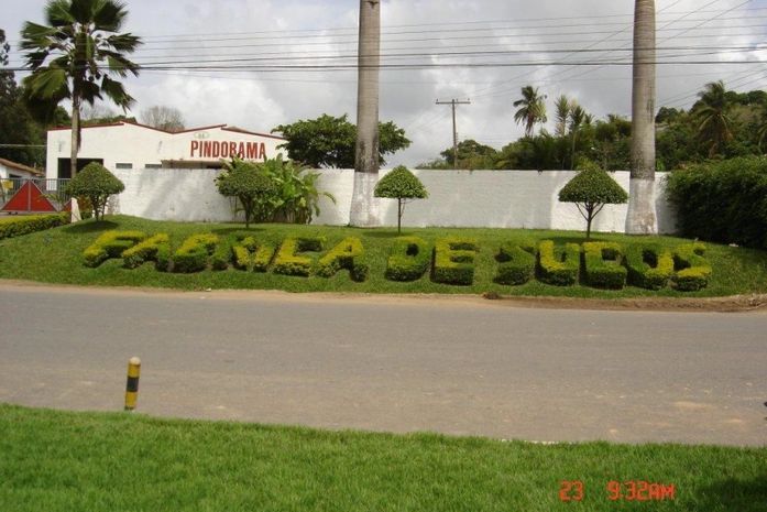Parque industrial da Pindorama aumenta produtividade com verão
