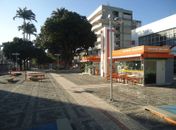 Gestão de Célia Rocha completa um ano com promessas e poucas realizações 