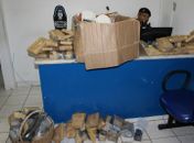 Polícia Militar registra maior apreensão de maconha do ano