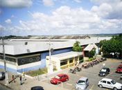 Carne de gado estragada foi colocada à venda no Mercado Público de Arapiraca