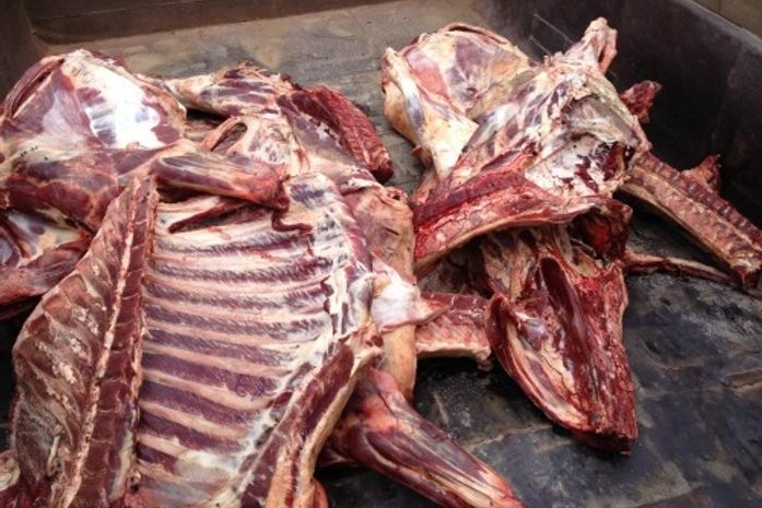 Carne consumida pela população de Arapiraca é fora dos padrões de higiene