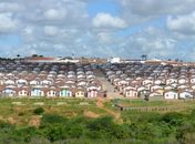 Conjuntos habitacionais ocupam áreas destinadas à agricultura em Arapiraca 