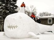 Tubarão gigante de neve ‘invade’ jardim de casa nos EUA