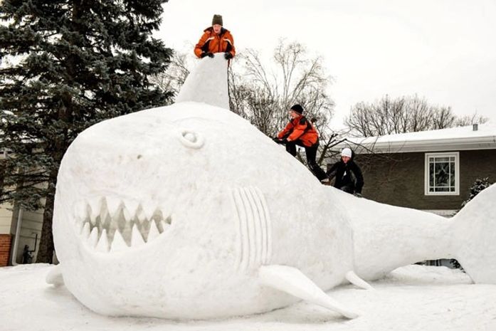Tubarão gigante de neve ‘invade’ jardim de casa nos EUA