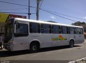 Bandidos fazem arrastão em dois ônibus em menos de 12 horas na capital alagoana