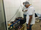 Vigilância Sanitária inicia Operação Semana Santa em Palmeira