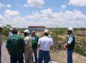 Justiça Federal pede explicações ao IMA sobre fraude em licença ambiental