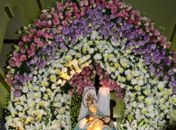 Município de Anadia celebra tradicional festa da Padroeira de Nossa Senhora da Piedade