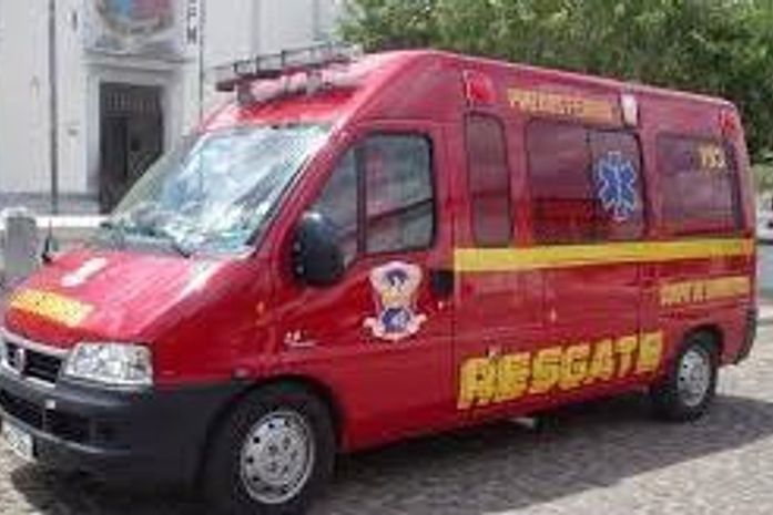 Homem morre ao ser picado por abelhas em Arapiraca