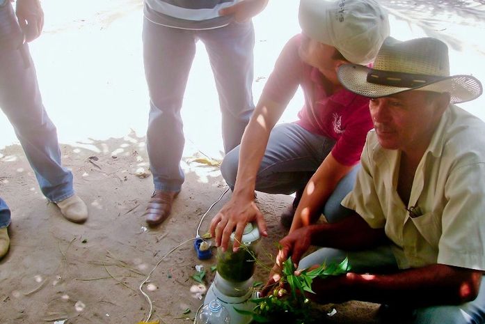 Pequenos agricultores de Limoeiro aprendem novas técnicas para produção de alimentos mais saudáveis