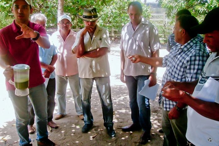 Pequenos agricultores de Limoeiro aprendem novas técnicas para produção de alimentos mais saudáveis