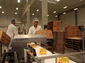 Atração de indústrias estimula emprego em diversos setores em Alagoas