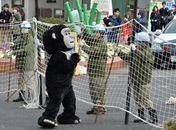Funcionário se veste de 'gorila fujão' em treinamento de zoo no Japão