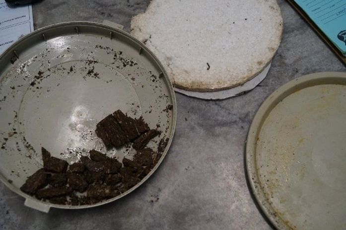 Sergipana é presa tentando entregar ‘marmita com maconha’ em delegacia de AL